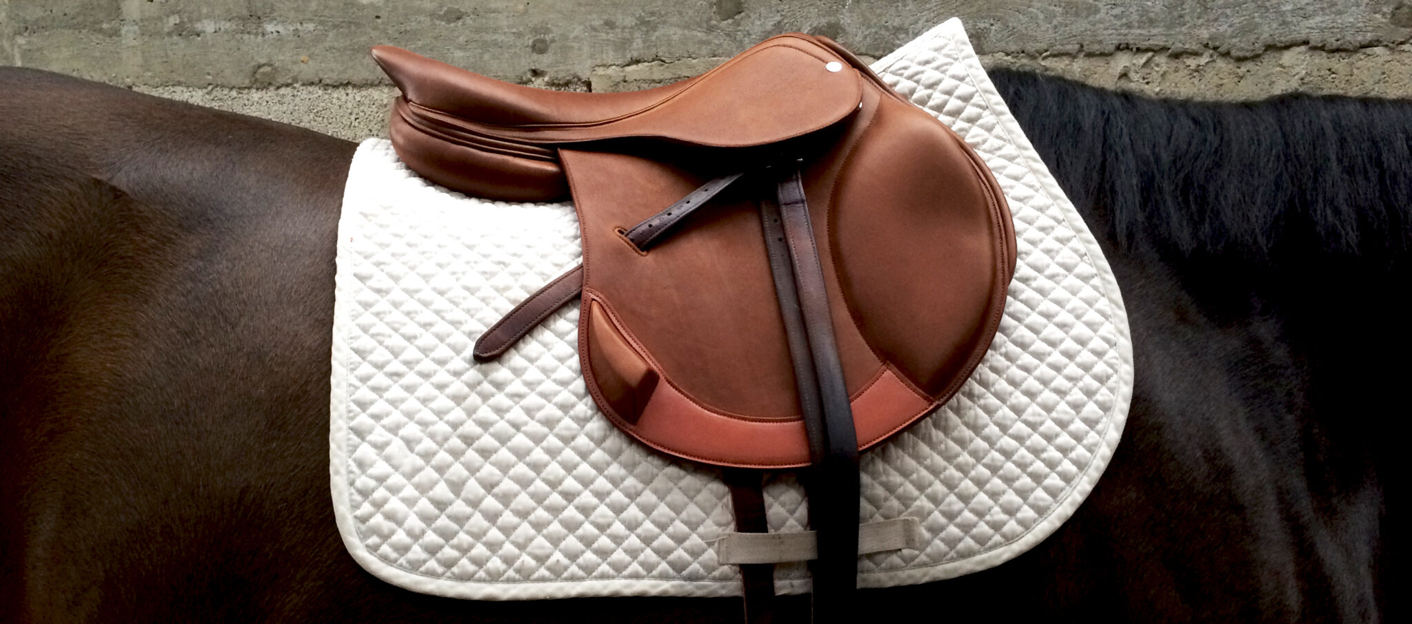 Selle d'équitation en cuir marron sur un tapis de selle blanc, montée sur un cheval noir