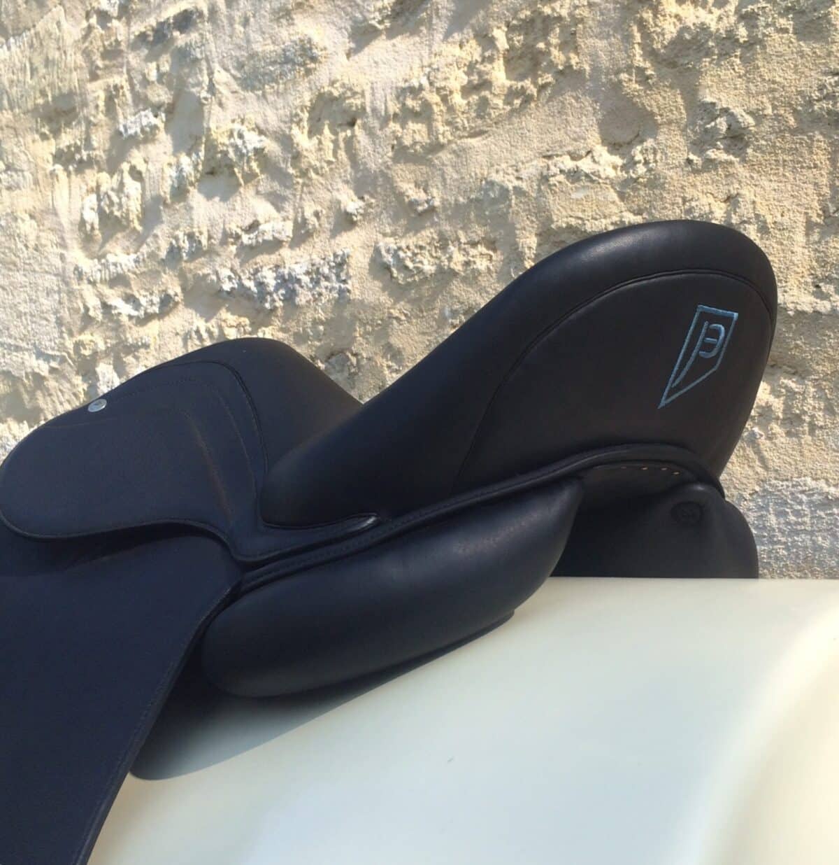 Dressage monoquartier - Prêt à seller – Image 4